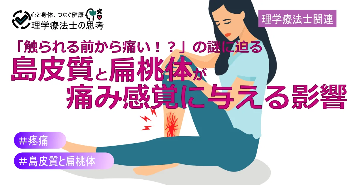 「触られる前から痛い！？」の謎に迫る：島皮質と扁桃体が痛み感覚に与える影響