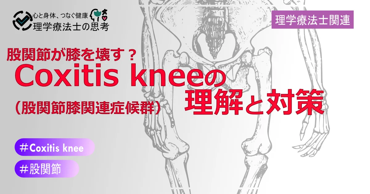 【2024年版】股関節が膝を壊す？ Coxitis knee（股関節膝関連症候群）の理解と対策