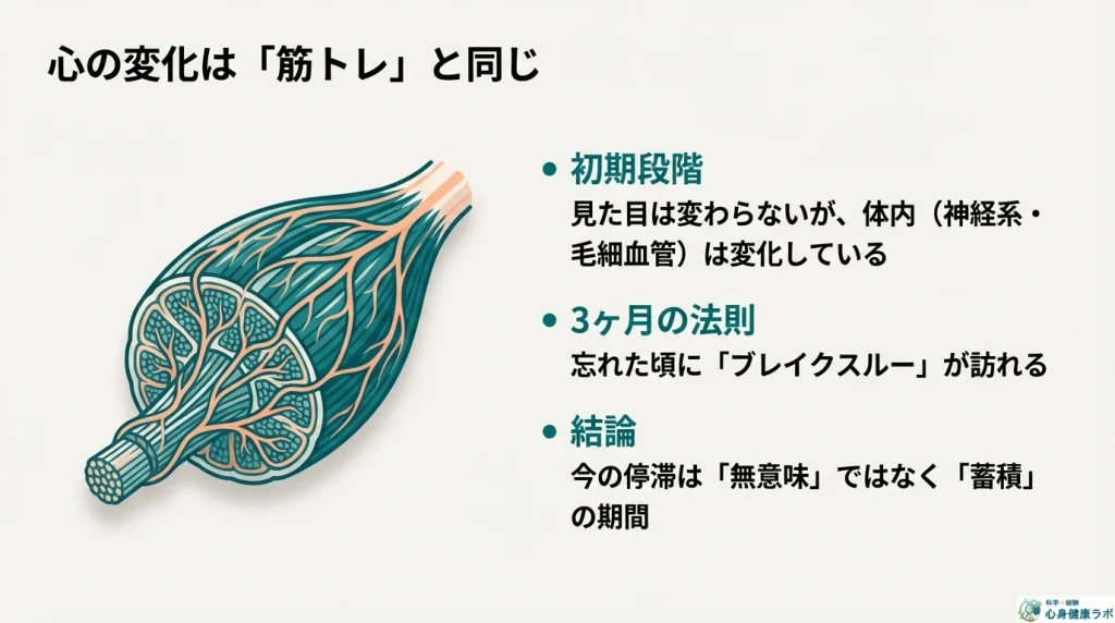 心の変化は筋トレと同じ