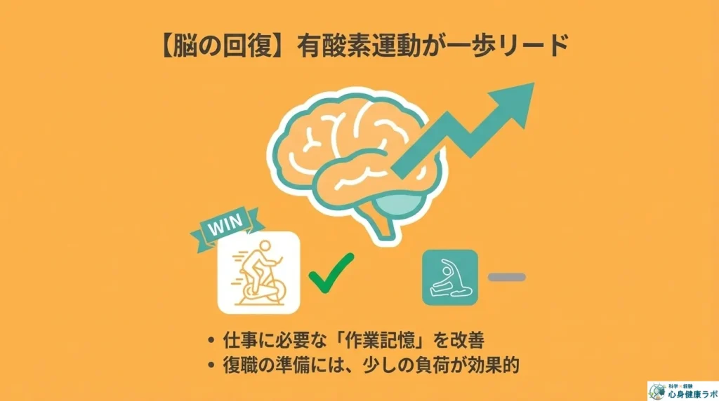 脳の回復有酸素運動がストレッチより一歩リード